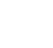 DMSCA Comp Level 3 Logo
