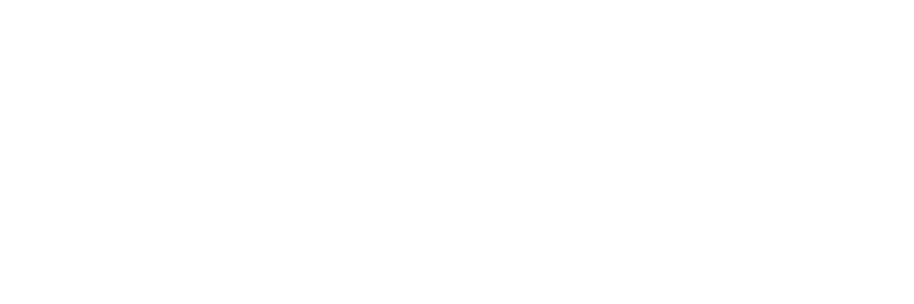 NetZero